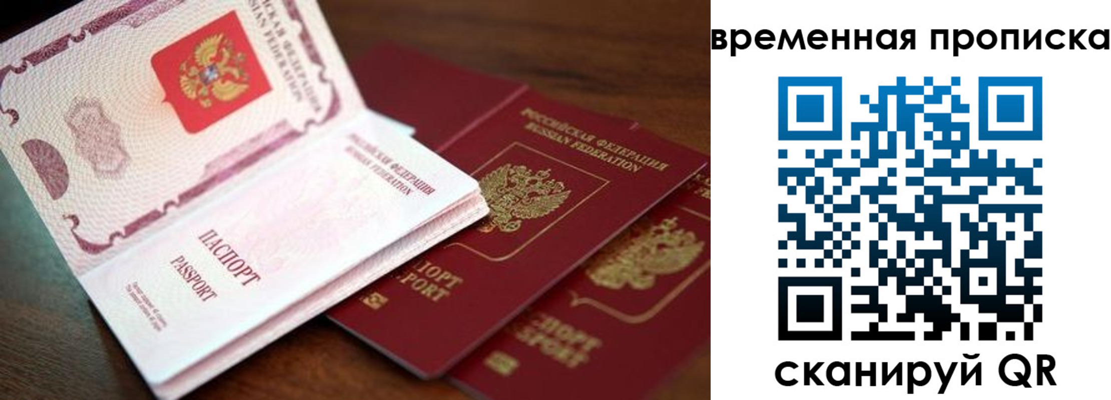 прописка гарантия в Дмитрове