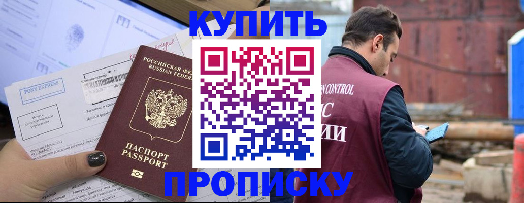 прописка паспорт в Дмитрове